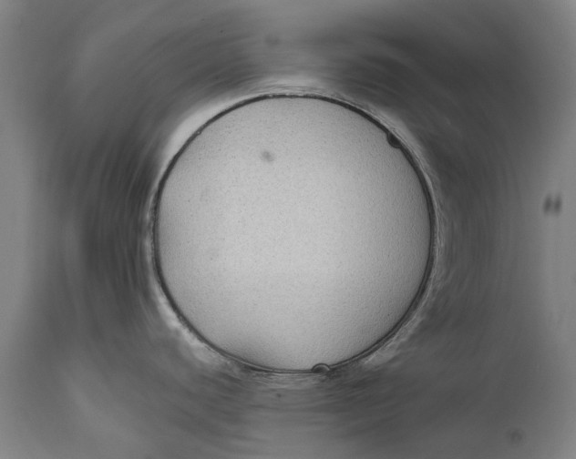 X0000111591440200908061338