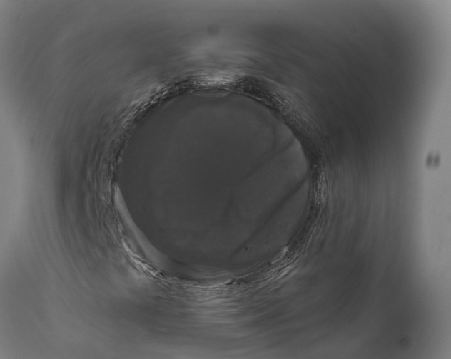 X0000111591441200908061338