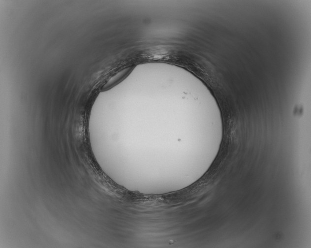 X0000111591442200908061338