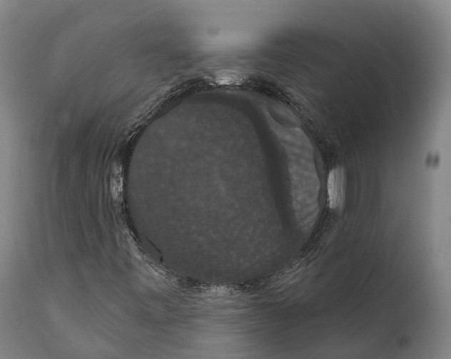 X0000111591443200908061338