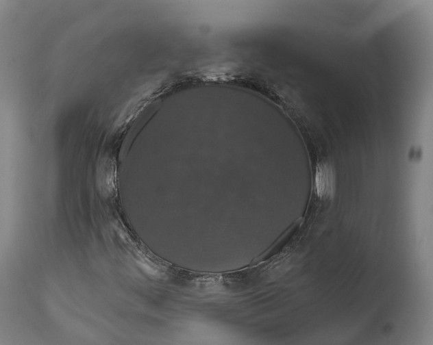 X0000111591444200908061338