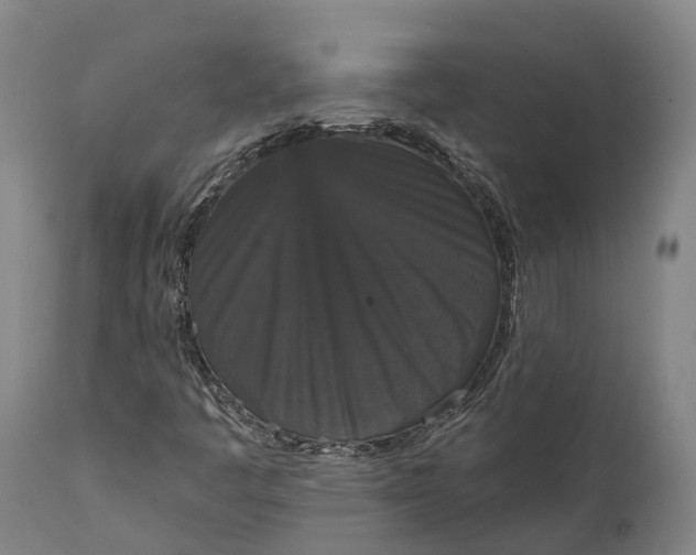 X0000111591445200908061338