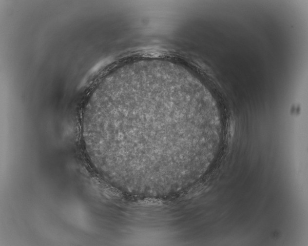 X0000111591446200908061338