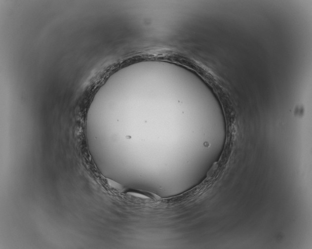 X0000111591447200908061338