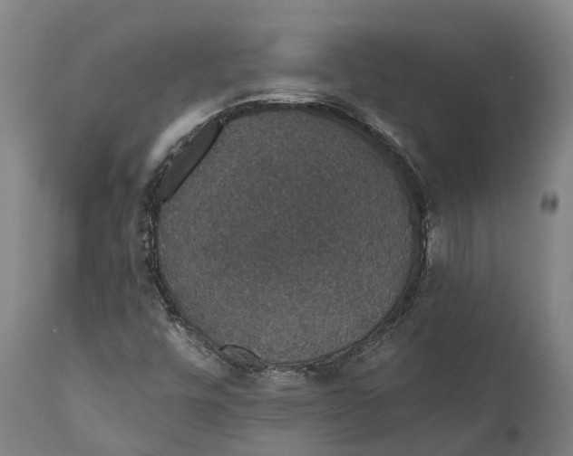 X0000111591448200908061338