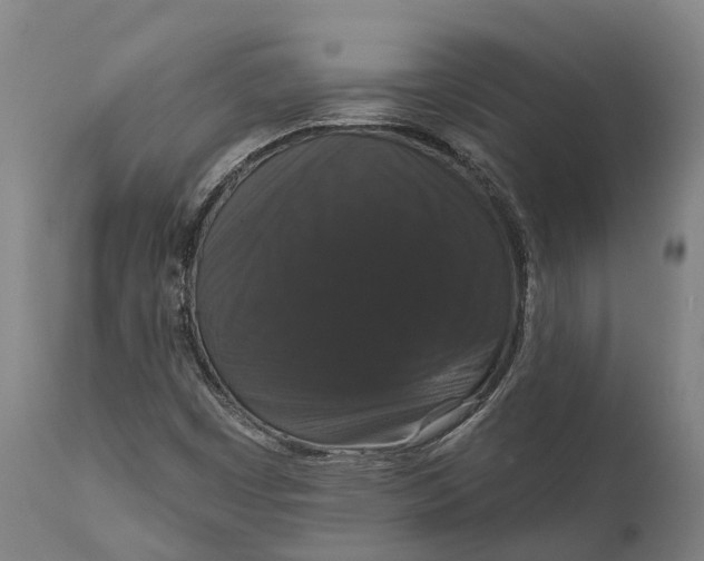 X0000111591449200908061338