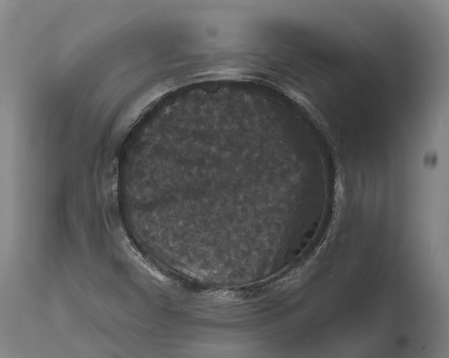 X0000111591450200908061338