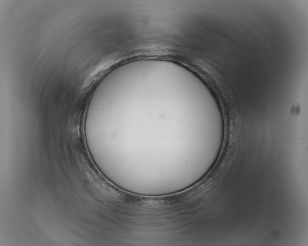 X0000111591451200908061338