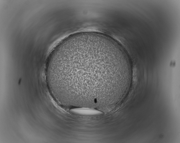 X0000111591452200908061338