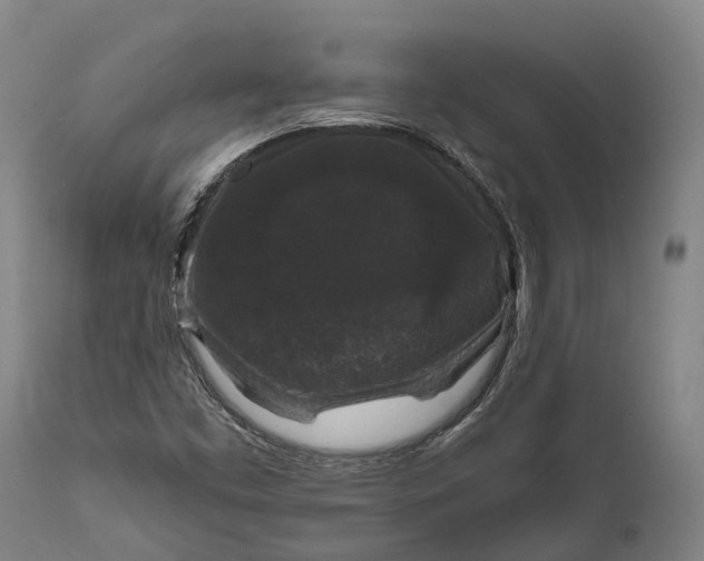 X0000111591453200908061338