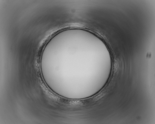 X0000111591454200908061338