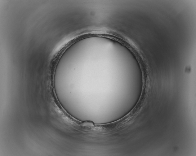 X0000111591456200908061337