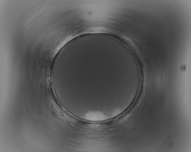 X0000111591457200908061337