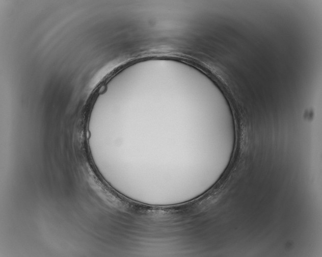 X0000111591458200908061337