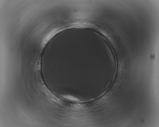 X0000111591459200908061337