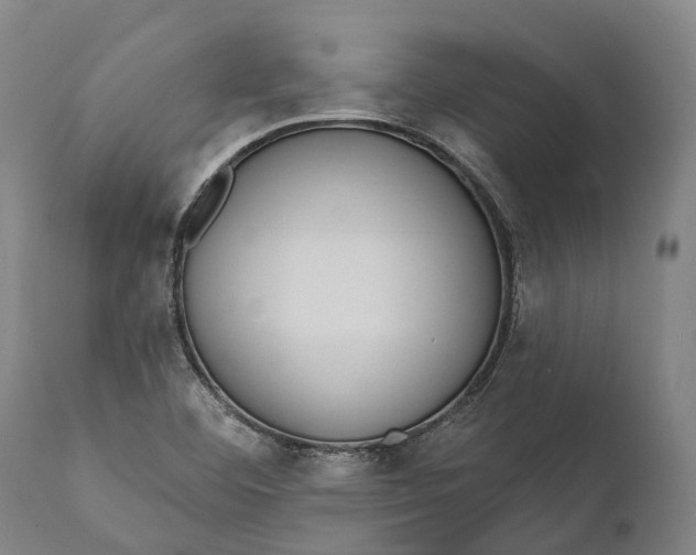 X0000111591460200908061337