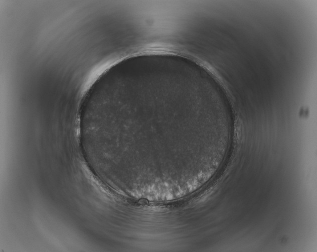 X0000111591461200908061337