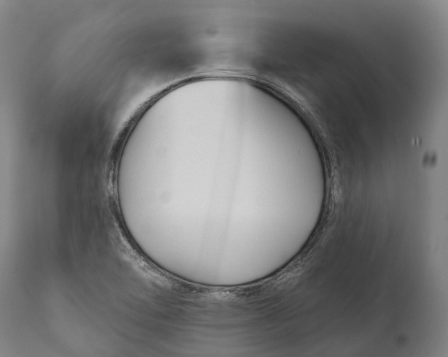 X0000111591462200908061337