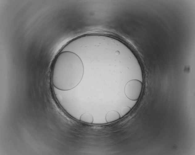 X0000111591463200908061337