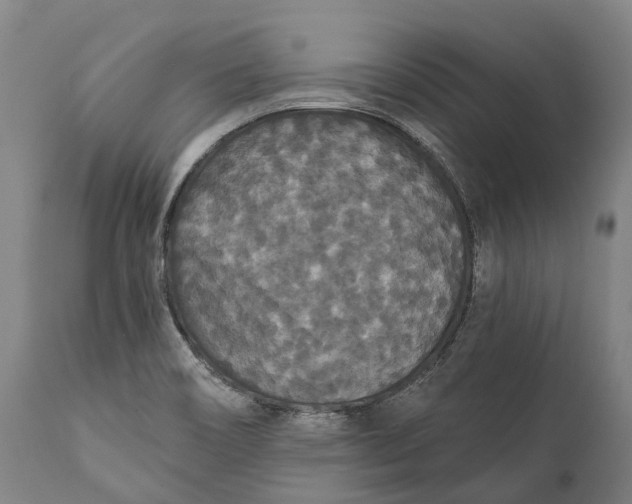 X0000111591466200908061337