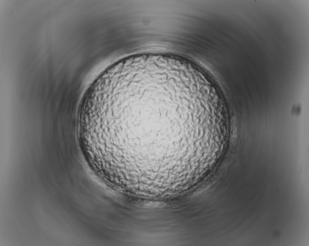 X0000111591467200908061337