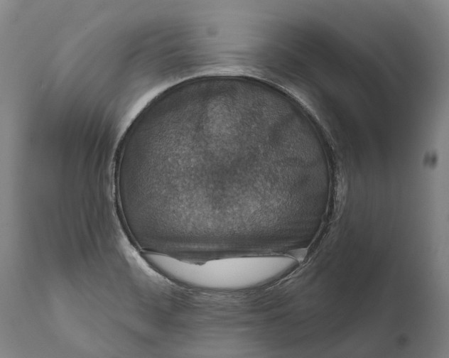 X0000111591468200908061337