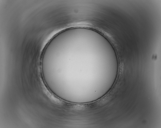 X0000111591470200908061337