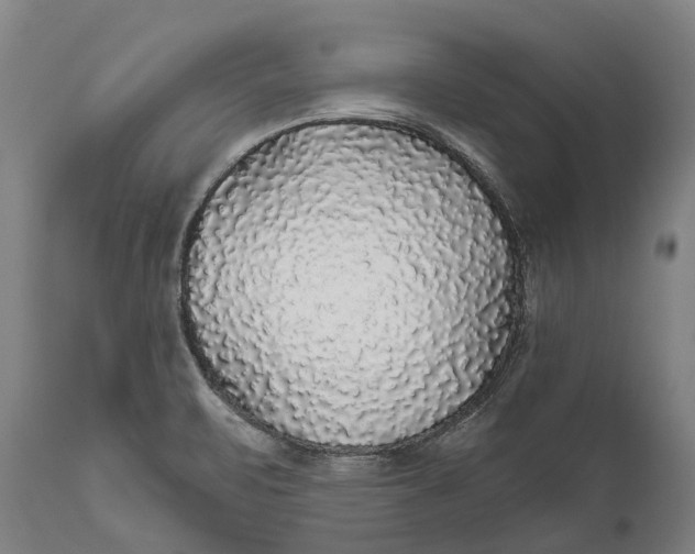 X0000111591471200908061337