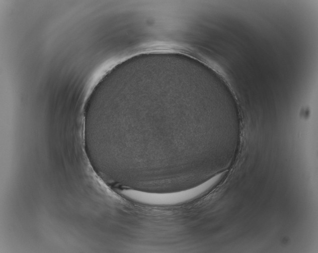 X0000111591472200908061337