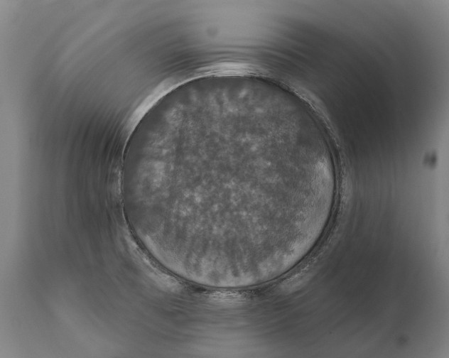 X0000111591473200908061337