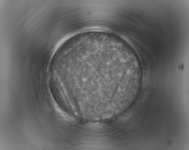 X0000111591474200908061337