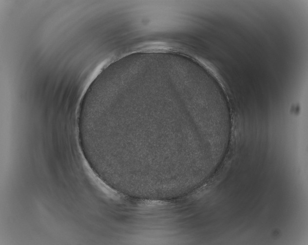 X0000111591475200908061337