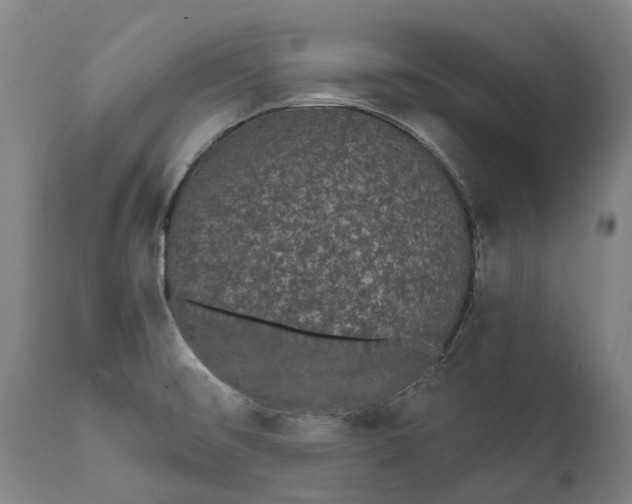 X0000111591476200908061337