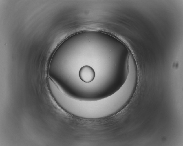 X0000111591477200908061337