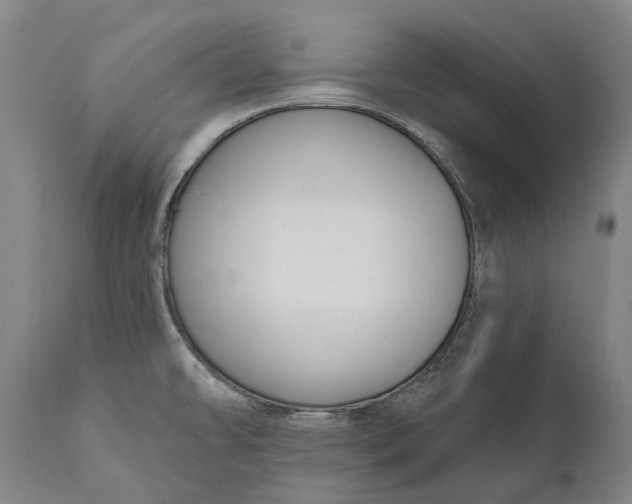 X0000111591478200908061337