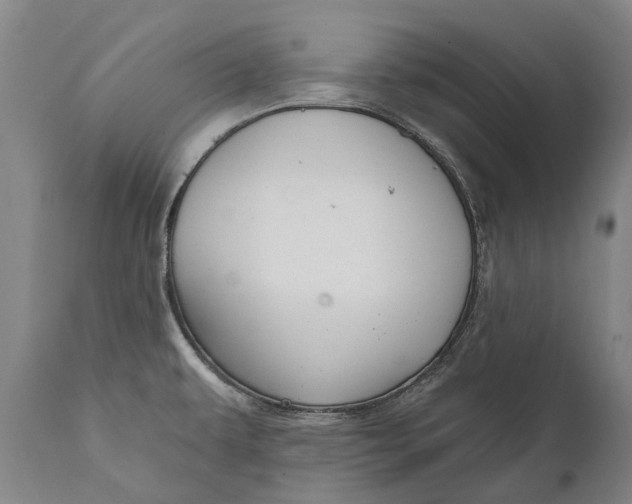 X0000111591479200908061337