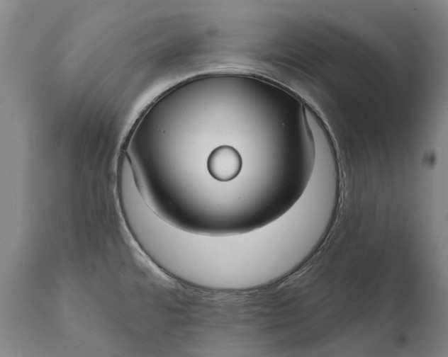 X0000111591480200908061337