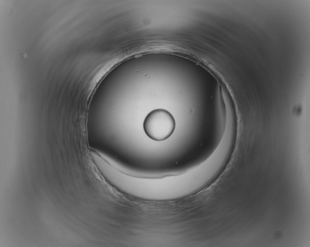 X0000111591481200908061337