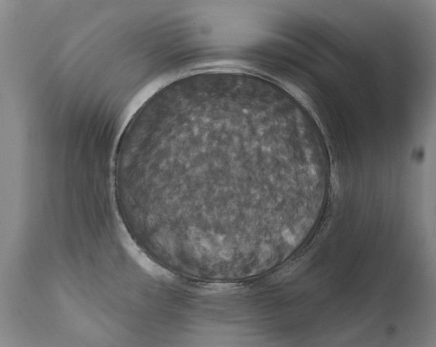 X0000111591482200908061337