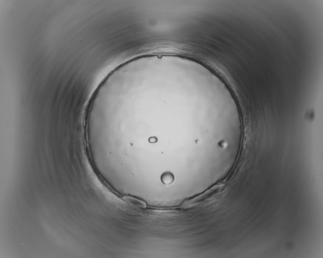 X0000111591483200908061337