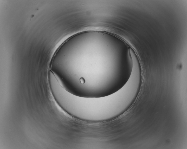 X0000111591484200908061337