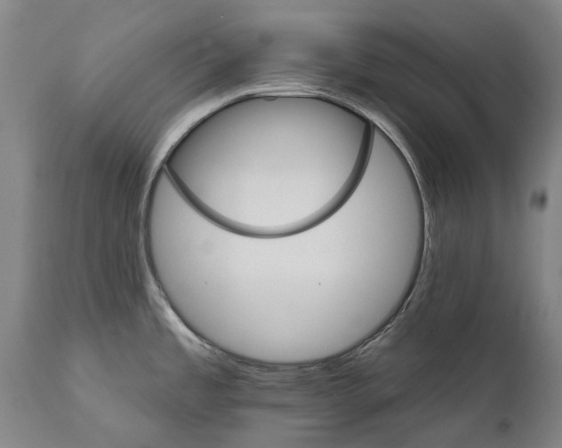 X0000111591485200908061337