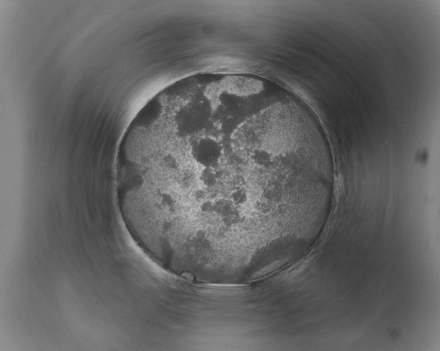 X0000111591487200908061337