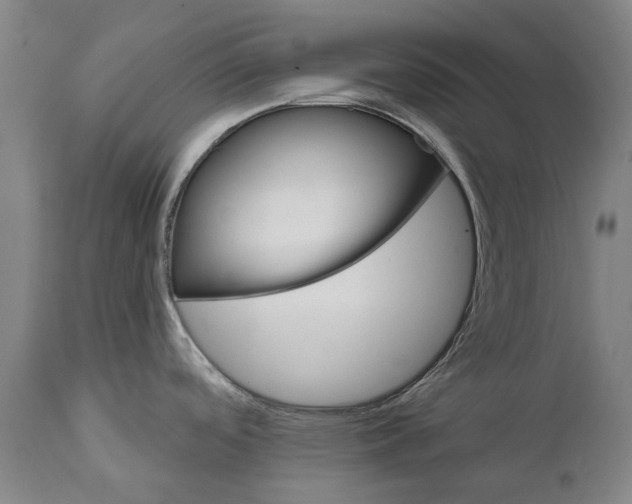 X0000111591488200908061337