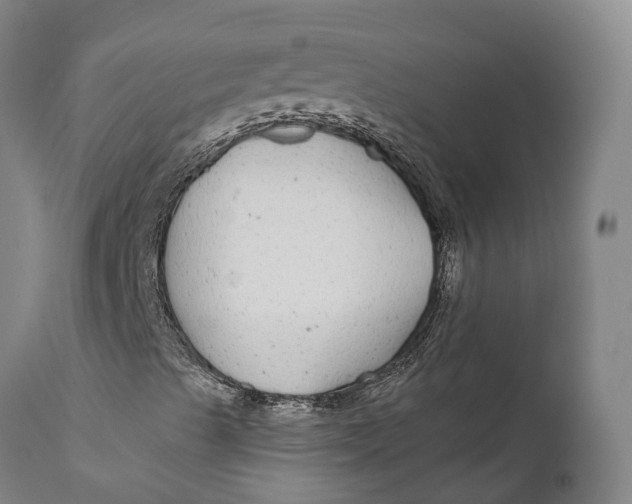 X0000111591489200908061336