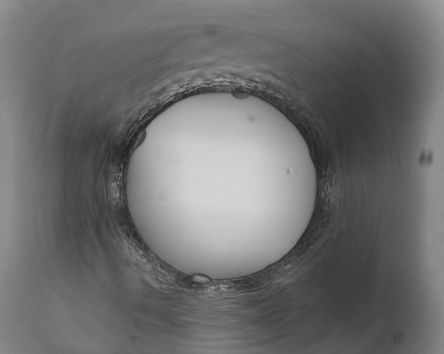 X0000111591490200908061336