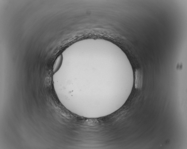 X0000111591491200908061336