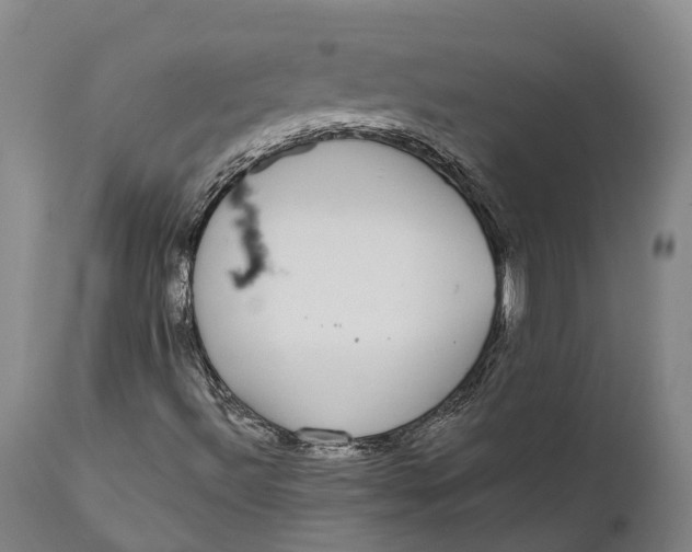 X0000111591492200908061336