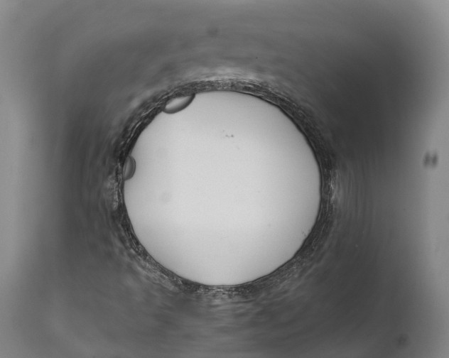 X0000111591493200908061336