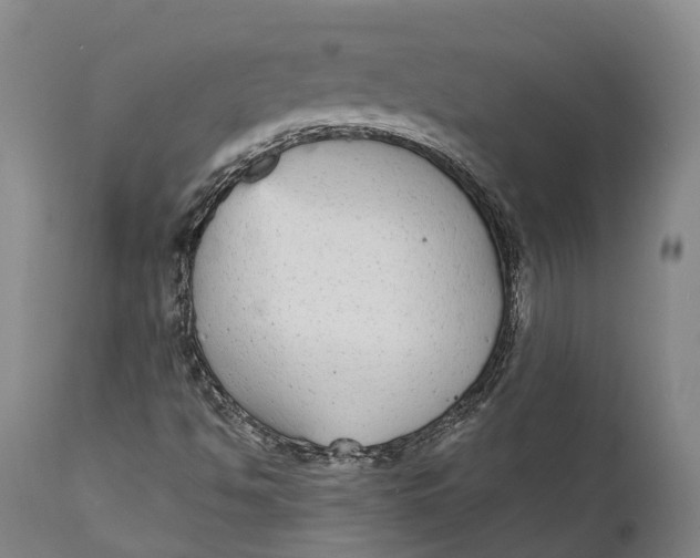 X0000111591494200908061336